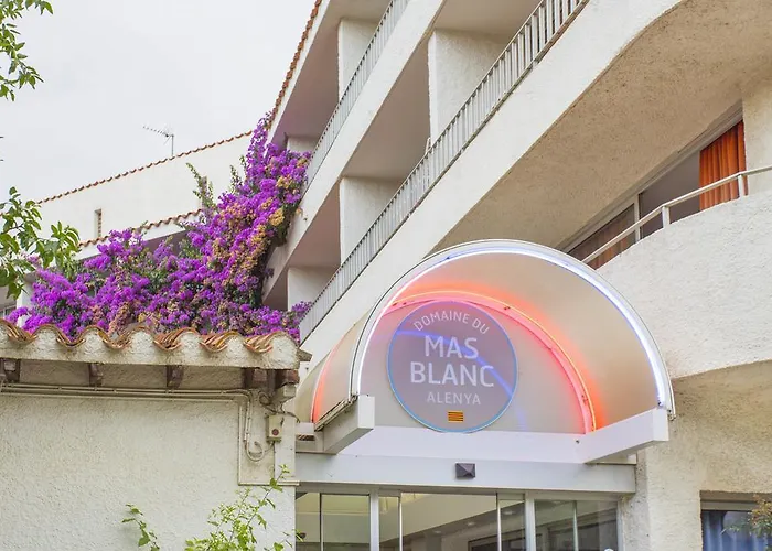 Hotel Le Domaine Du Mas Blanc By Popinns