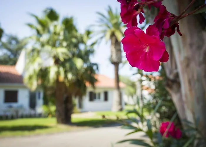 Le Domaine Du Mas Blanc By Popinns